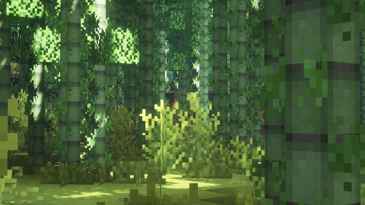 Bamboo Forest